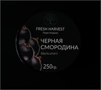 {{productViewItem.photos[photoViewList.activeNavIndex].Alt || productViewItem.photos[photoViewList.activeNavIndex].Description || 'Пюре ЧЁРНАЯ СМОРОДИНА 250г &quot;Fresh Harvest&quot;, замороженное'}}