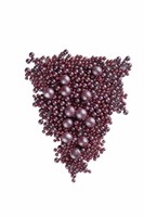 {{productViewItem.photos[photoViewList.activeNavIndex].Alt || productViewItem.photos[photoViewList.activeNavIndex].Description || 'Драже зерновое «ЖЕМЧУГ, СИРЕНЕВЫЙ, цена за 1гр, развесное, № 106'}}