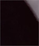 Пюре ЧЕРНИКА 250г "Fresh Harvest", замороженное 77630 - фото 13600