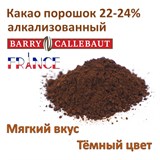Какао-порошок 1гр алкализованный (очищенный) тёмный кондитерский - Barry Callebaut  22-24% 77312 - фото 13832