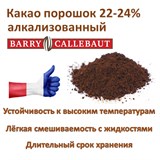 Какао-порошок 1гр алкализованный (очищенный) тёмный кондитерский - Barry Callebaut  22-24% 77312 - фото 13833