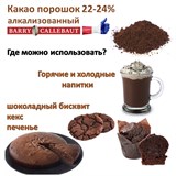 Какао-порошок 1гр алкализованный (очищенный) тёмный кондитерский - Barry Callebaut  22-24% 77312 - фото 13834