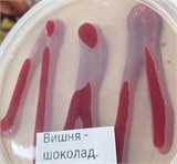 Крафтовое авторское натуральное Мороженое, в ассортименте 41670 - фото 14056