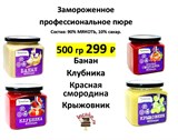Пюре 500гр в ассортименте, замороженное, "Proff Puree" 12901 - фото 14173