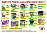 Замороженное пюре в ассортименте АКЦИЯ! Скидка окончательная! 42551
