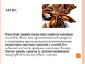 Бадьян сушёный, цена за 1г, развесной, (анис звездчатый) 77177 - фото 4680 Бадьян сушёный, цена за 1г, развесной, (анис звездчатый) 77177 - фото 4680