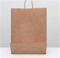 Пакет крафт 35 х 42 см, дно 15 х 35 см 2492933 - фото 8436