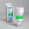Свеча для торта музыкальная "Тюльпан", крутящаяся, белая, 14,5×6 см 2919688 - фото 9521